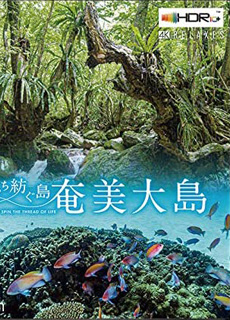 世界自然遗产:奄美大岛