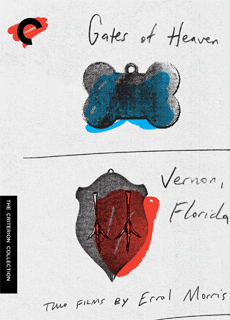 弗农，佛罗里达